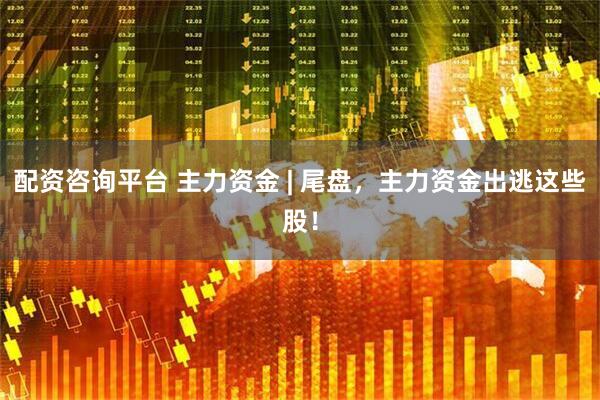 配资咨询平台 主力资金 | 尾盘，主力资金出逃这些股！