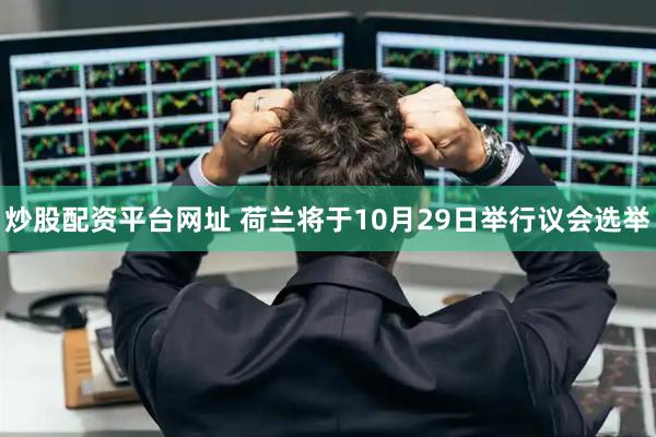炒股配资平台网址 荷兰将于10月29日举行议会选举
